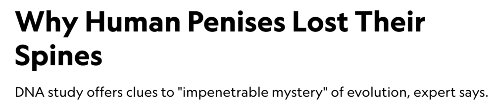 Screen Shot 2020 12 09 at 225640