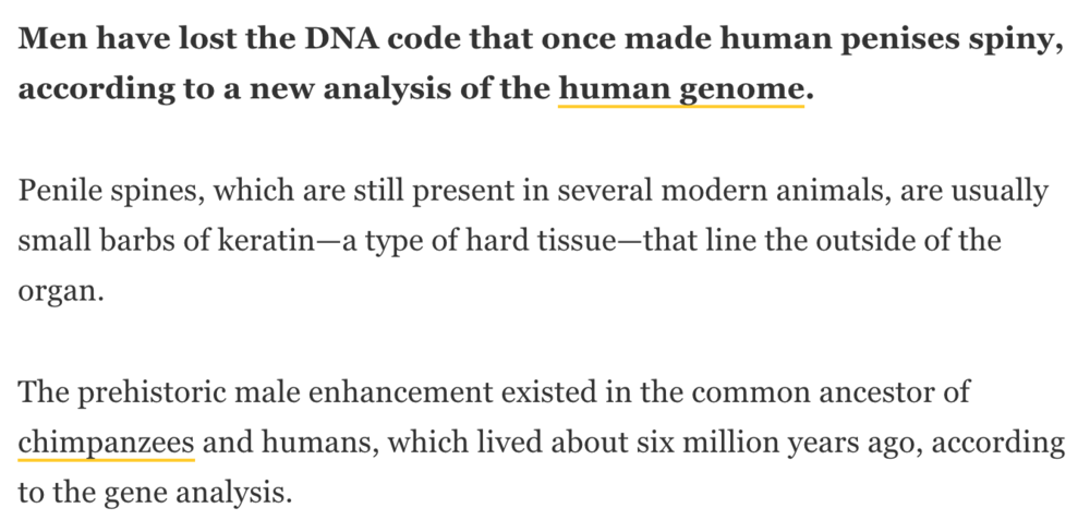 Screen Shot 2020 12 09 at 225708