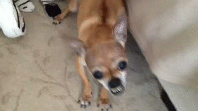 33E6305F AD4F 492F A5A2 FC98F3DBDC1F