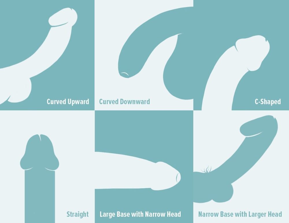 257877 There Are 20 Different Penis Types and They are All NormalIllustration 1 1296x1000