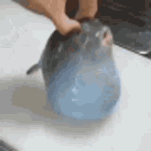 803711 9307e94fe7cdea8b0bda78cb0423df5d