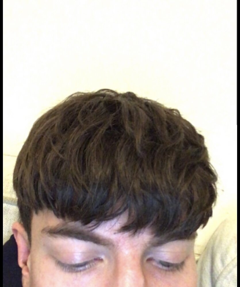 9BC32055 D0ED 447D B3E2 F5469542DAE3