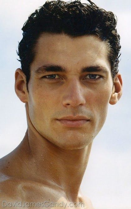Gandy