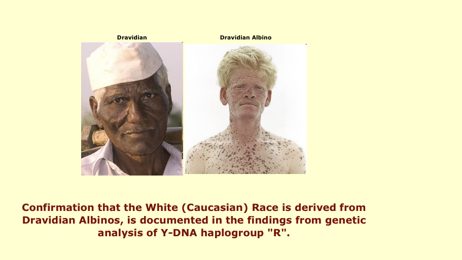 00B3DE70 A668 465A 820D 68ECA36C649B