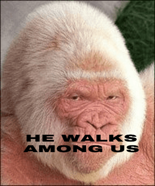 PicsArt 06 13 065857