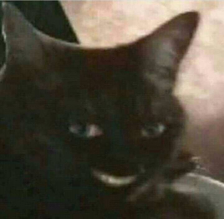 FB IMG 16017834060439376