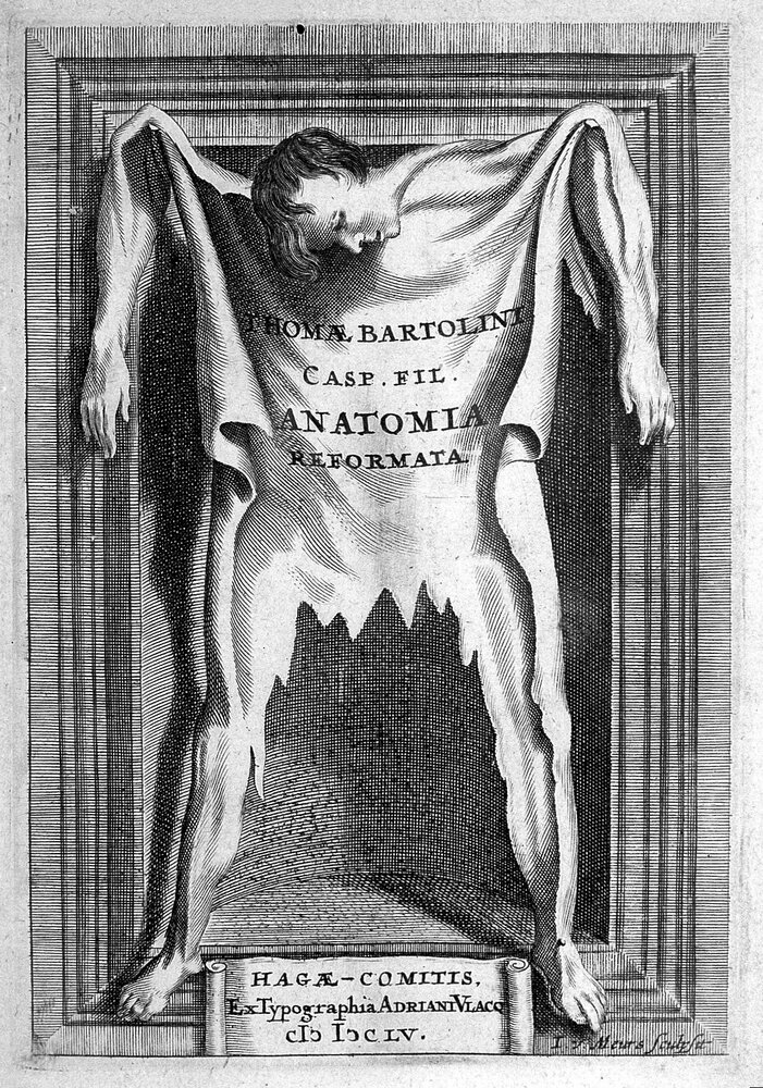 069D78A4 BA22 4B6A BA73 8873E2F022B8