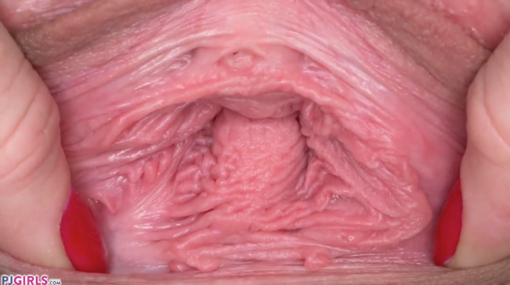 Captura de Tela 2020 12 13 as 014422