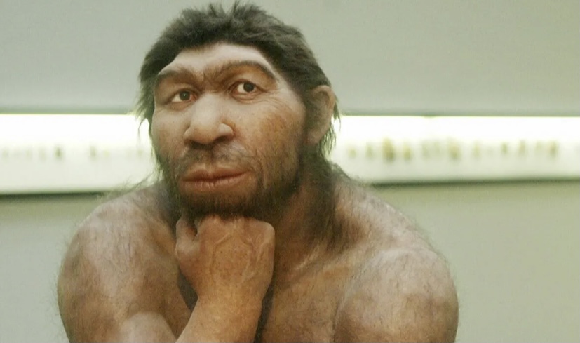 49F744F4 0F31 4148 BEA1 1E81AE94AAF9