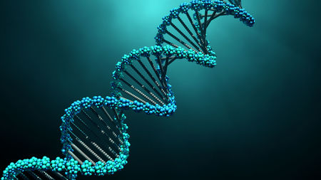 DNA 1280p