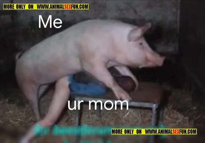 Previewmp4 2