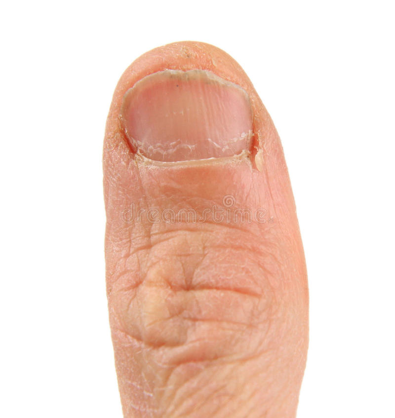 884EC618 4760 4957 A797 0EDBA78019DD