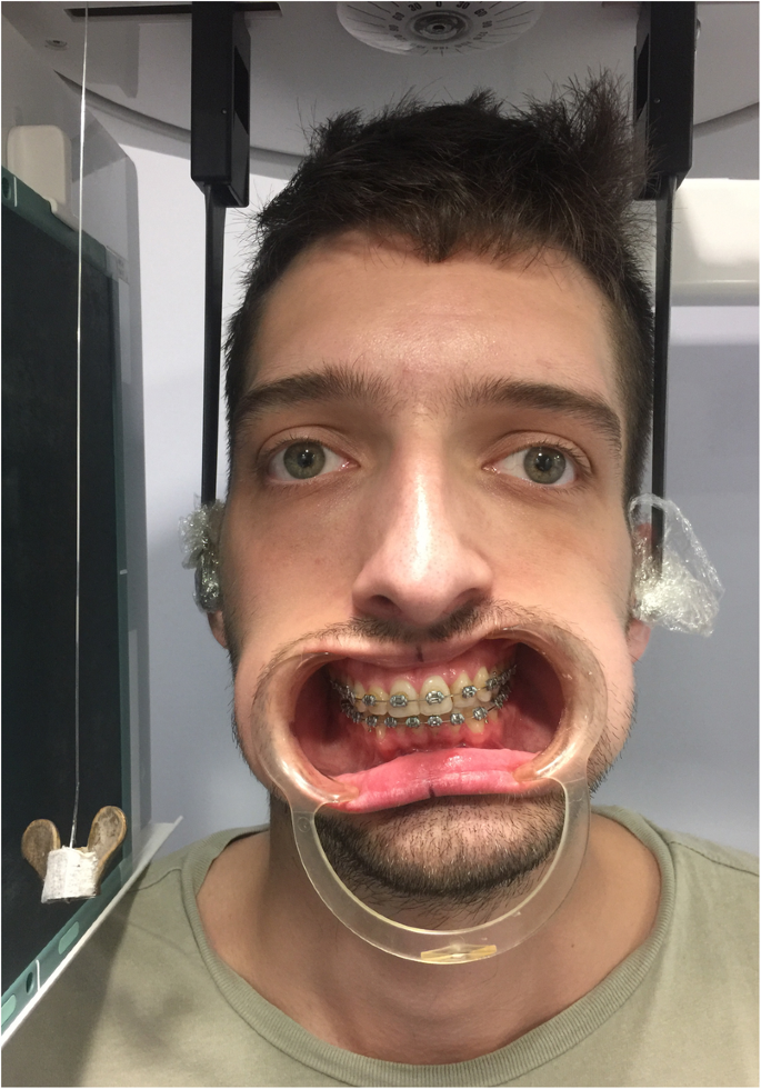 40902 2019 204 Fig2 HTML