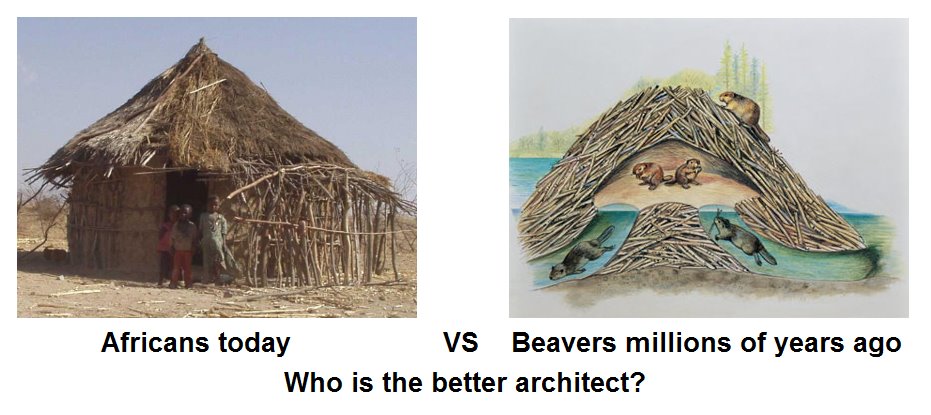 Africans versus prehistoric beavers