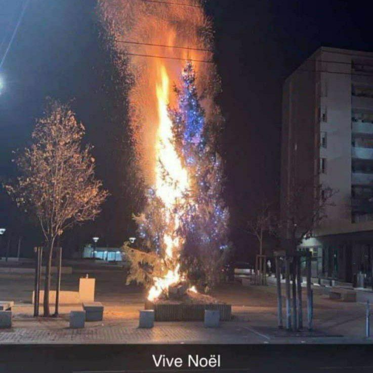 E0C55A00 4406 4BD2 9B07 51A0E2D1C75E