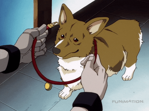 CAGEDDOG