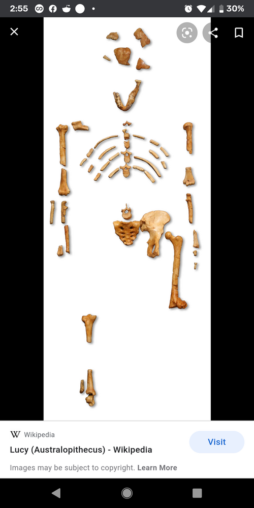 Screenshot 20201218 145554