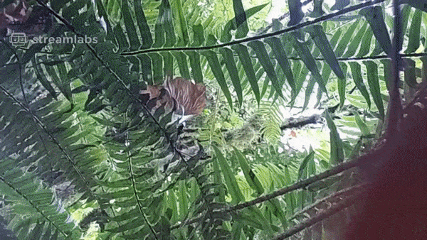 Ezgif 7 03a103daa691