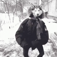 C62D8B96 C747 47EC 9295 36F80824697E