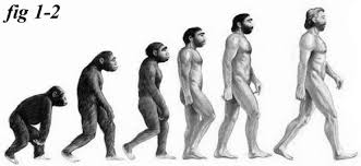 Evolution