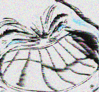 5e6a30dd 68e4 4197 9a5d 4c1a8fb8381a