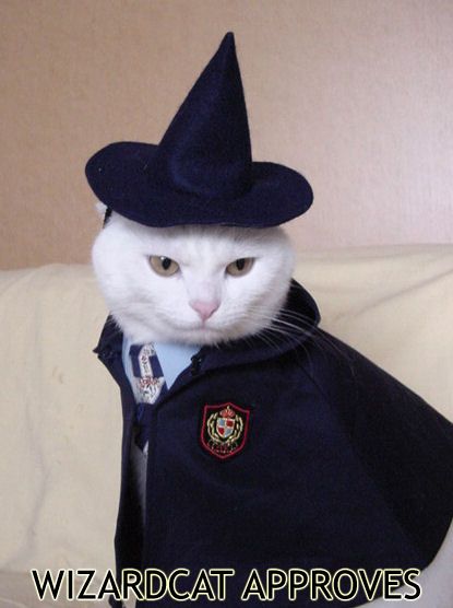 Wizardcat approves