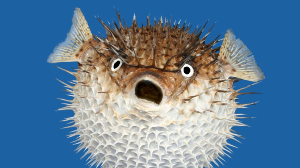 Istock 000008208368 small