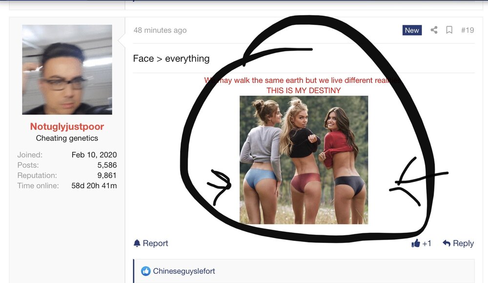 A2638F3F 643D 4EFA 80D1 323D8AEC0FA1