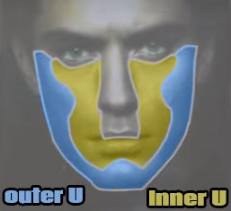 Inner U