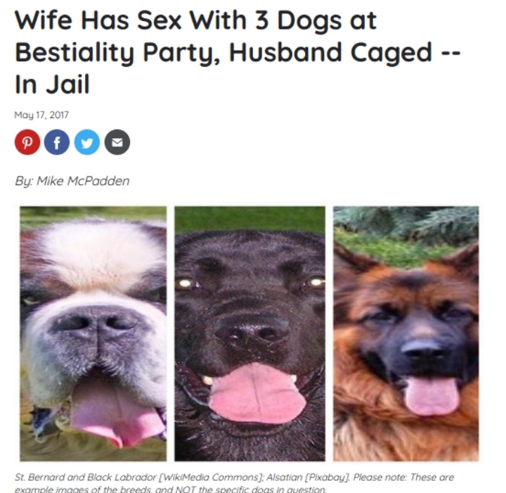 Screenshot 20200824 133758 DuckDuckGo