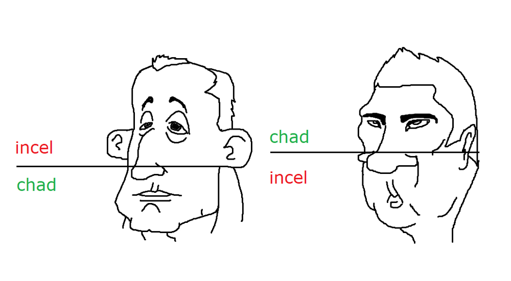 Which mogs