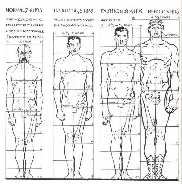 Proportions