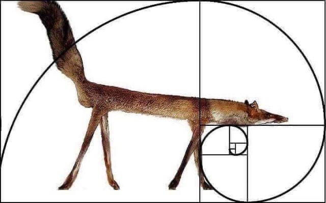 D69D6FEC 336C 4DEF 8706 F1CF35C95E3D