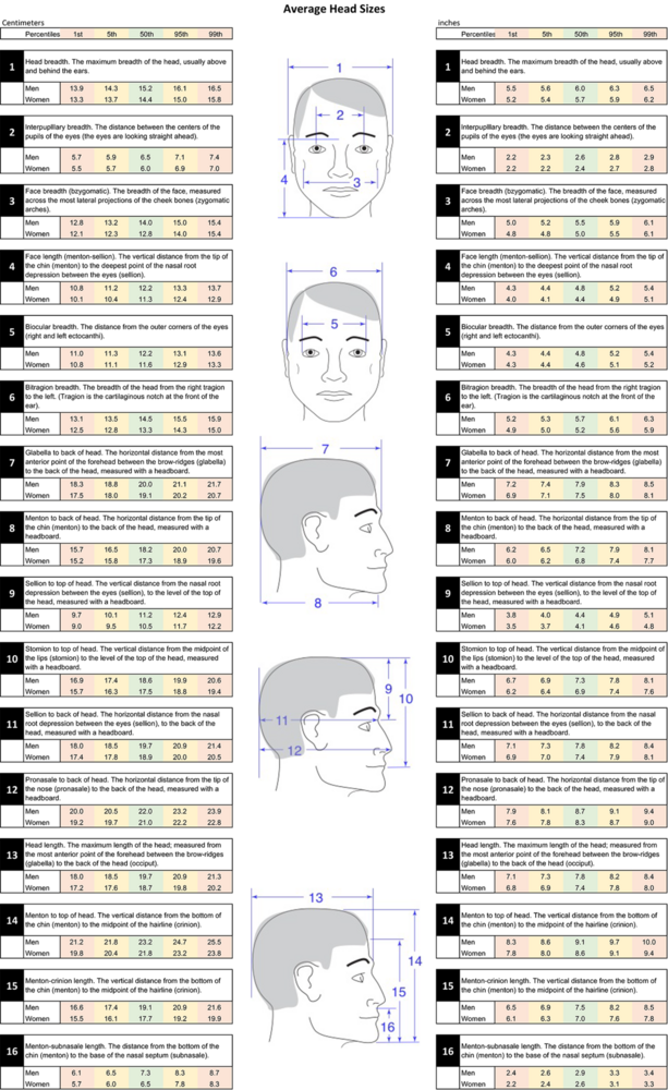 AvgHeadSizes
