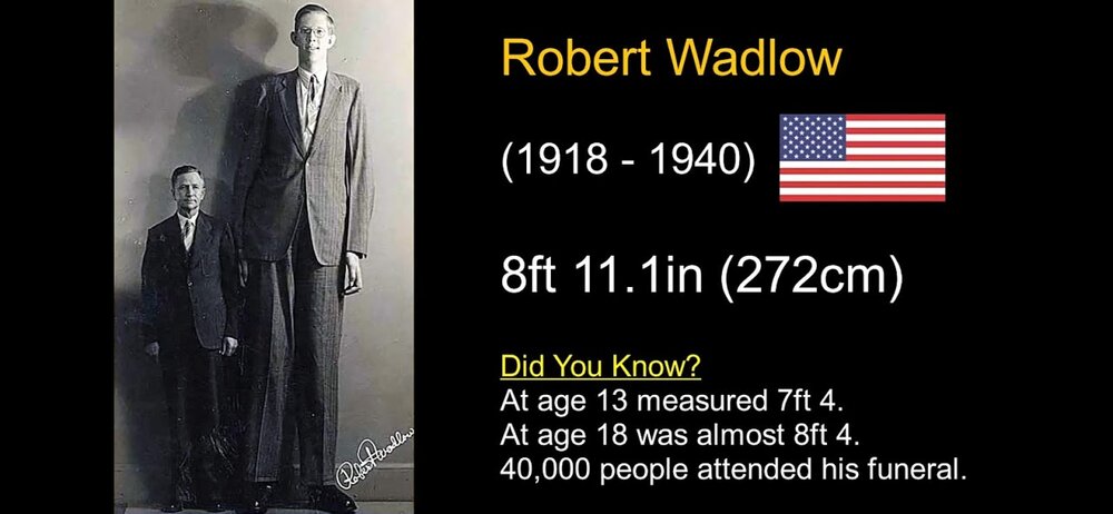 Screenshot 2020 12 27 16 37 27 531 comgoogleandroidyoutube