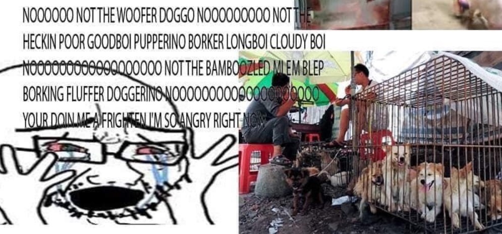 Doggo