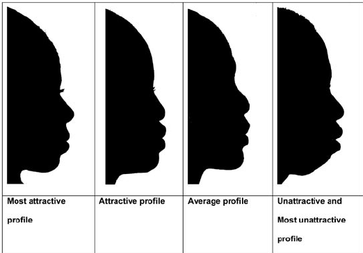 Profiles chosen as most attractive attractive average unattractive and most unattrative
