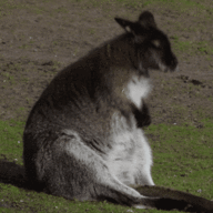 13E5A79D 2AC7 4649 A20A 93237A573BB2