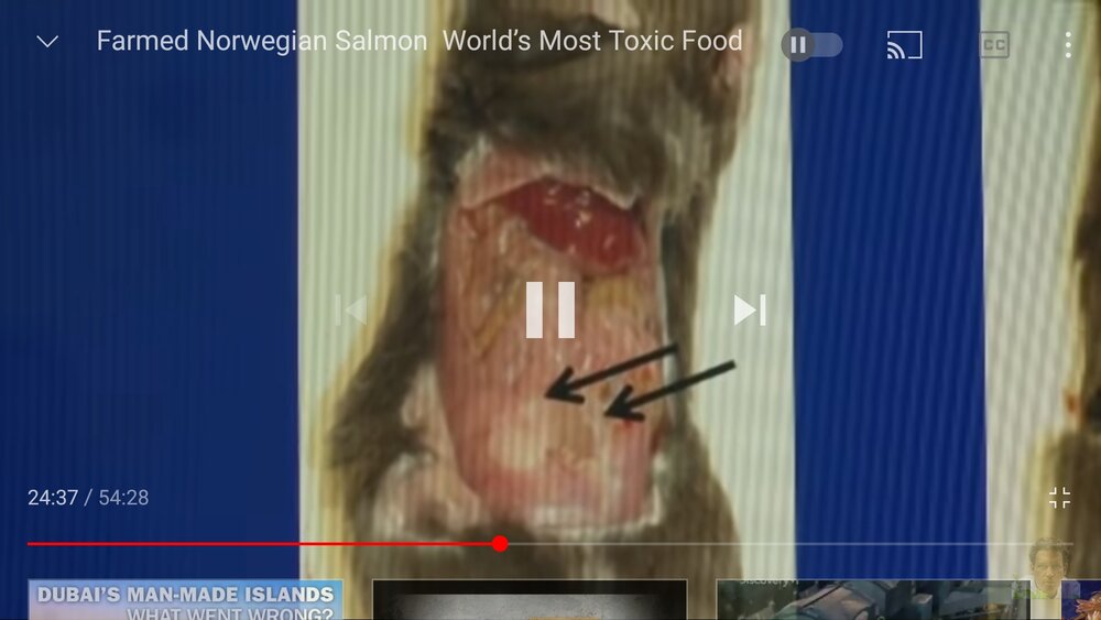 Screenshot 20201229 212540 YouTube