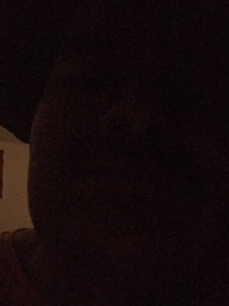 4D35E0AA 601D 4E2F BC66 D04CCC616752