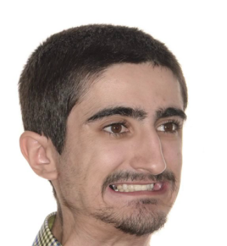 Sfs