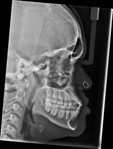 924889C3 89A5 4983 9EE5 477B8B69077E