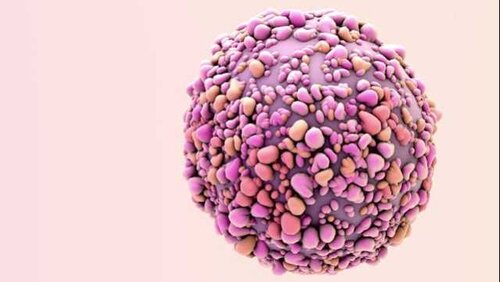 Converting cancer cells to fat cells to stop cancers spread 313824