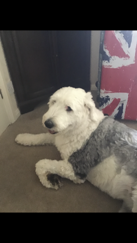 F19B3D9F FC8A 4BE3 8893 D62E317248ED