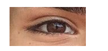 eya.png