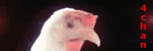 cjPfiD5.gif