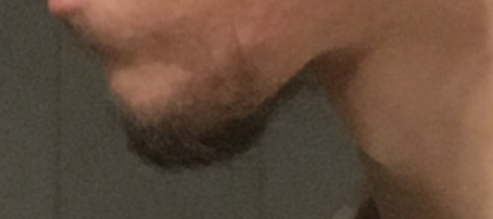 Sgesegsse