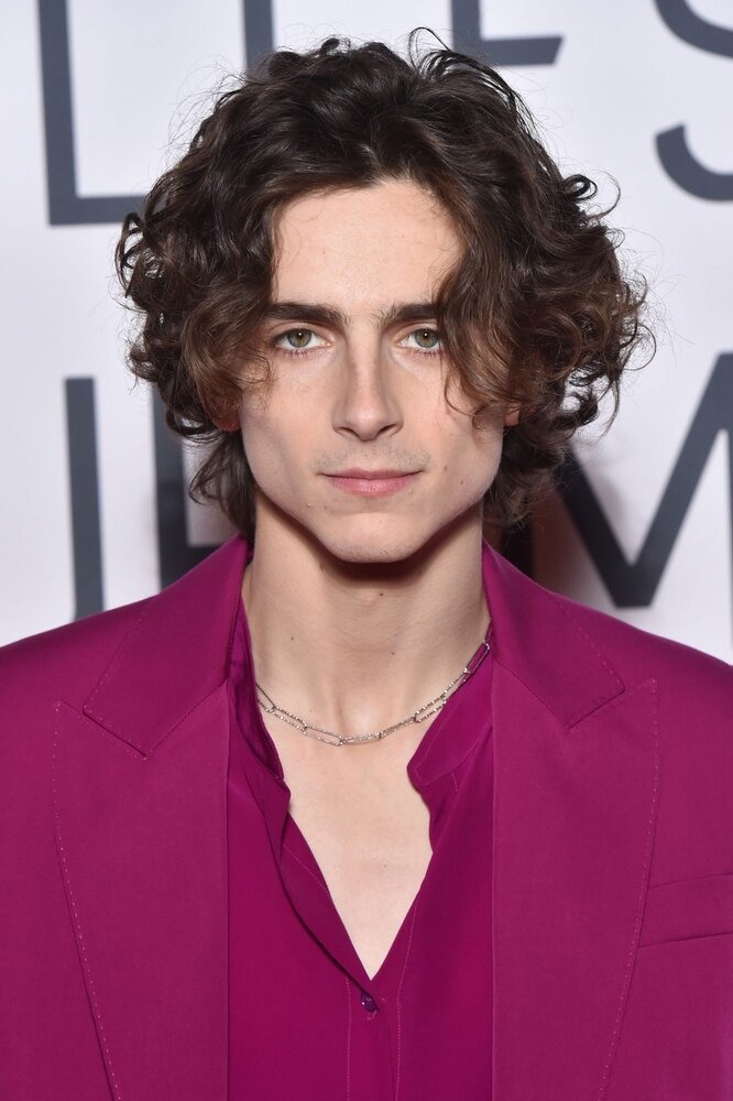 010920 timothee chalamet lead 2000