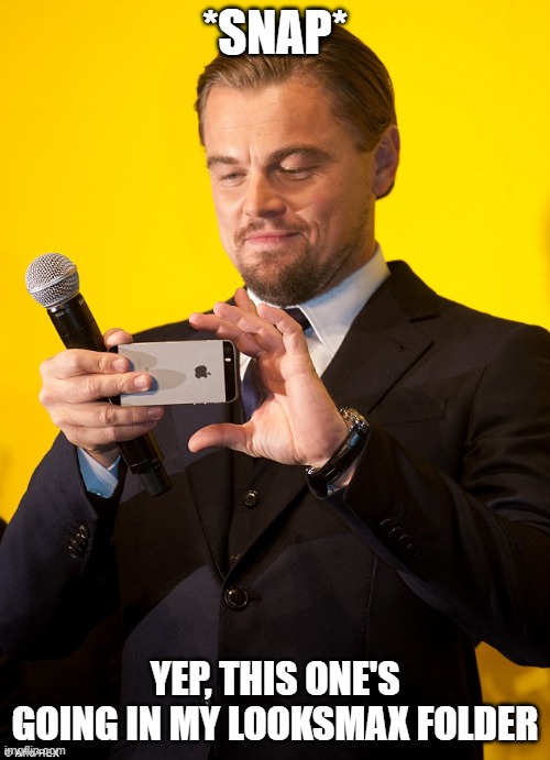 Looksmaxfolder