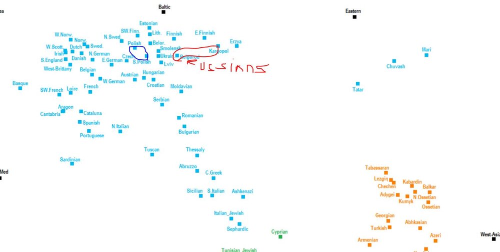 Russians vs pOlacks